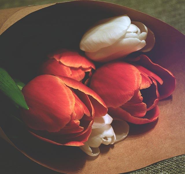 Love Your Life Tulips